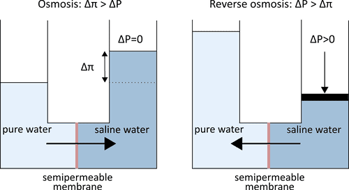 Open Membrane Database : Osmosis versus Reverse Osmosis illustration